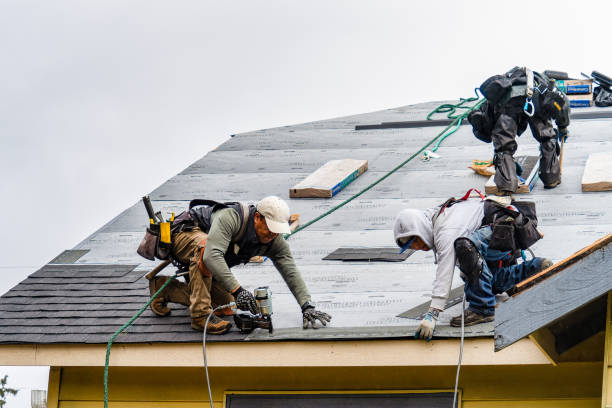 Professional Flat Roof Repair technician working in Medford, WI